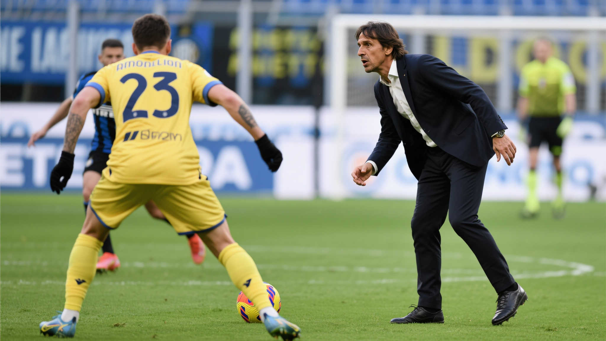 IM体育-平台介绍