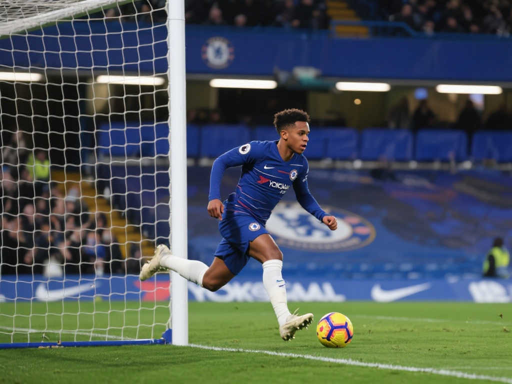 IM体育-平台介绍