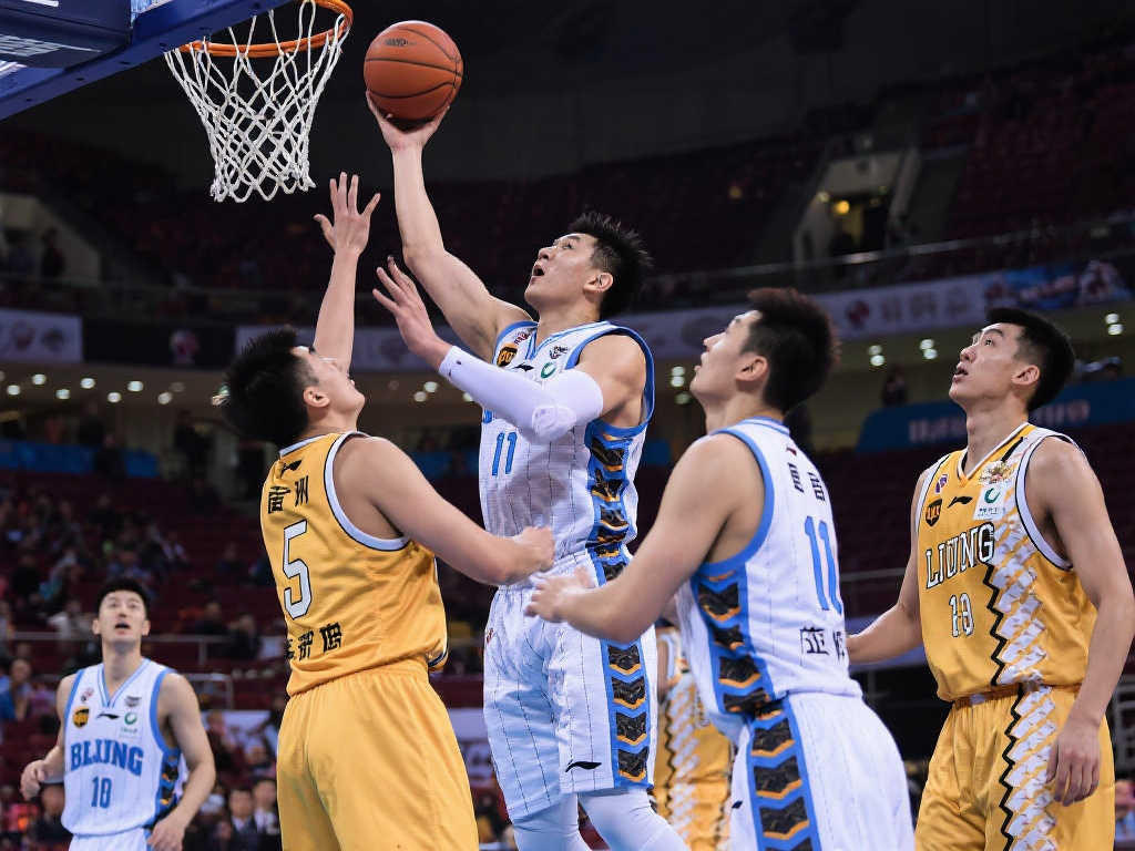 IM体育-平台介绍